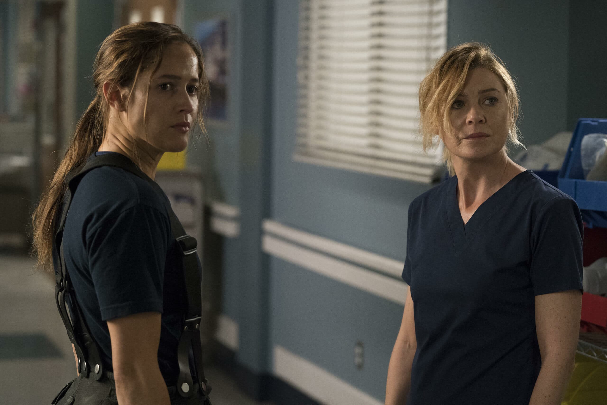 Grey’s Anatomy e Station 19: os grandes sucessos da ABC são renovados para novas temporadas
